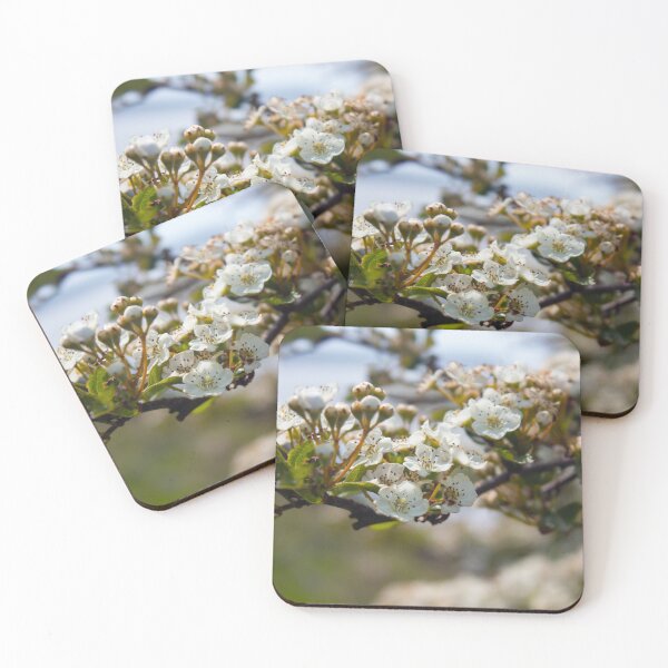 Item preview, Spring white pear tree flowers designed and sold by chiaravisuals.