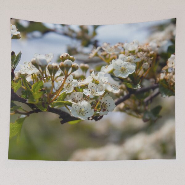 Item preview, Spring white pear tree flowers designed and sold by chiaravisuals.