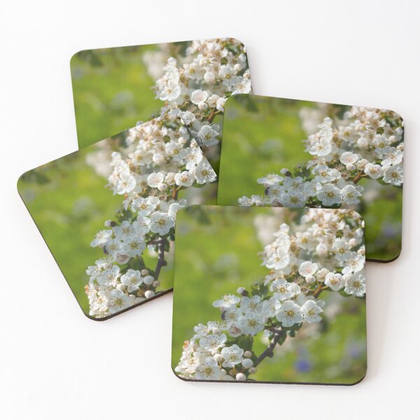 Item preview, Spring white pear tree flowers on a green field designed and sold by chiaravisuals.