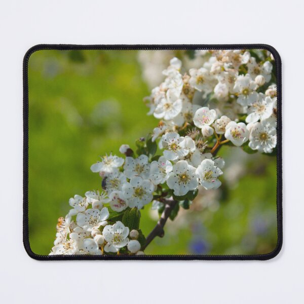 Item preview, Spring white pear tree flowers on a green field designed and sold by chiaravisuals.