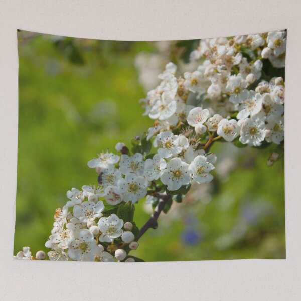 Item preview, Spring white pear tree flowers on a green field designed and sold by chiaravisuals.