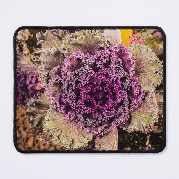 Item preview, Hacienda Collection - 8 designed and sold by William E Lopez.