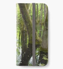 Cypress Swamp iPhone Wallet/Case/Skin