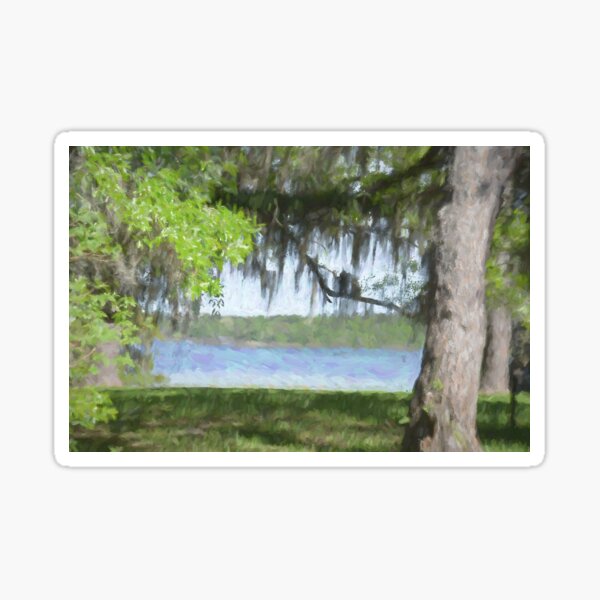 Item preview, Southern Beauty designed and sold by Andrea Anderegg Arts.