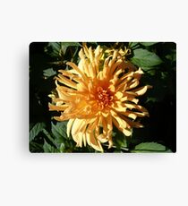 flower Canvas Print