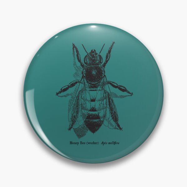 Item preview, Honey Bee - Vintage Scientific Illustration Classic T-Shirt designed and sold by VeraCalvillo.