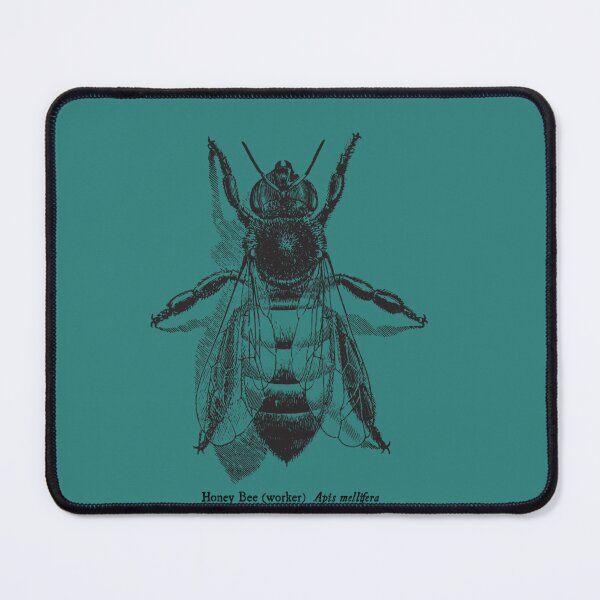 Item preview, Honey Bee - Vintage Scientific Illustration Classic T-Shirt designed and sold by VeraCalvillo.