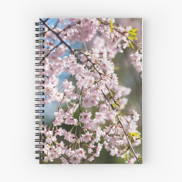 Item preview, Pink Cherry Blossoms In the Morning Light designed and sold by mljdwhite.