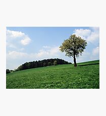 Lonely Photographic Print