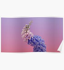 Flume flower artwork Poster