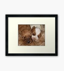 Comfort Framed Print