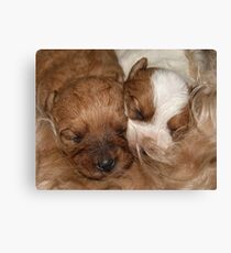 Comfort Canvas Print