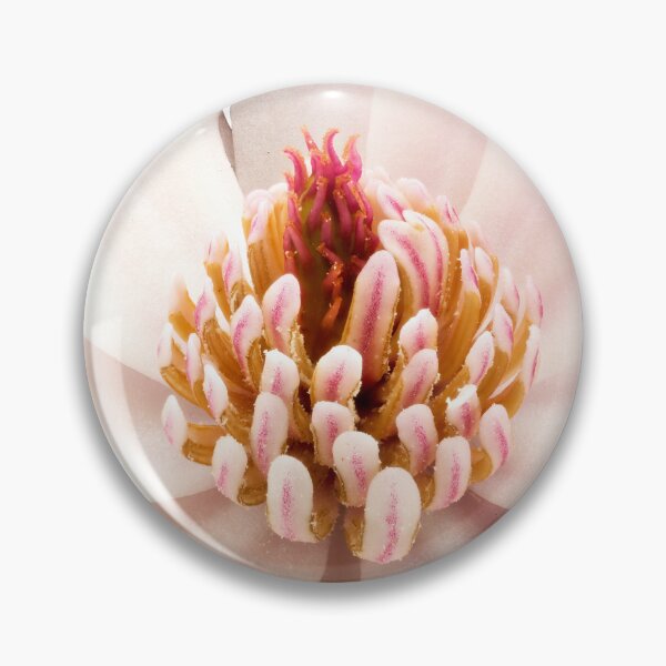 Item preview, Magnolia stellata 04 designed and sold by Weston  Westmoreland.