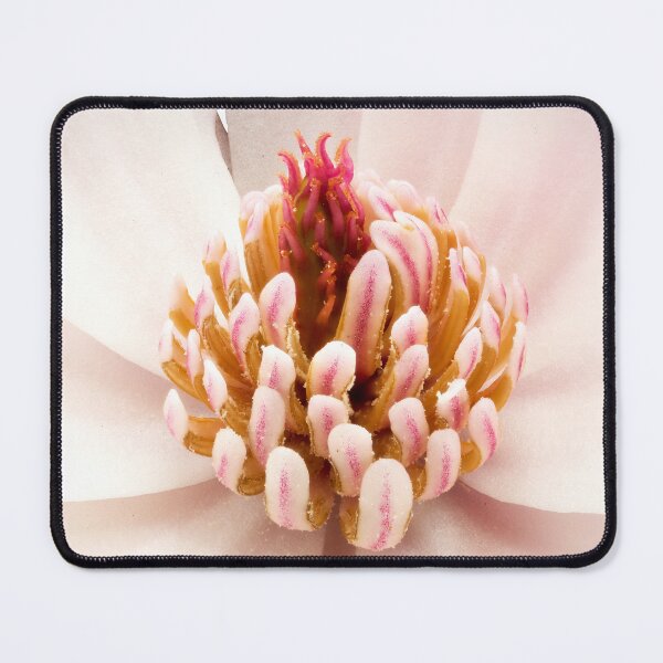Item preview, Magnolia stellata 04 designed and sold by Weston  Westmoreland.