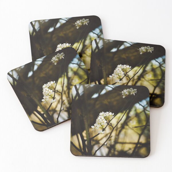 Item preview, The Beginning designed and sold by Melanie Uadjit.