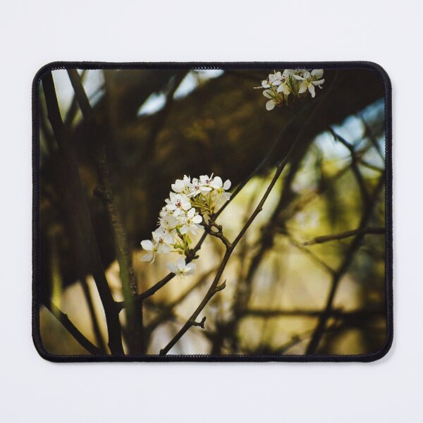 Item preview, The Beginning designed and sold by Melanie Uadjit.
