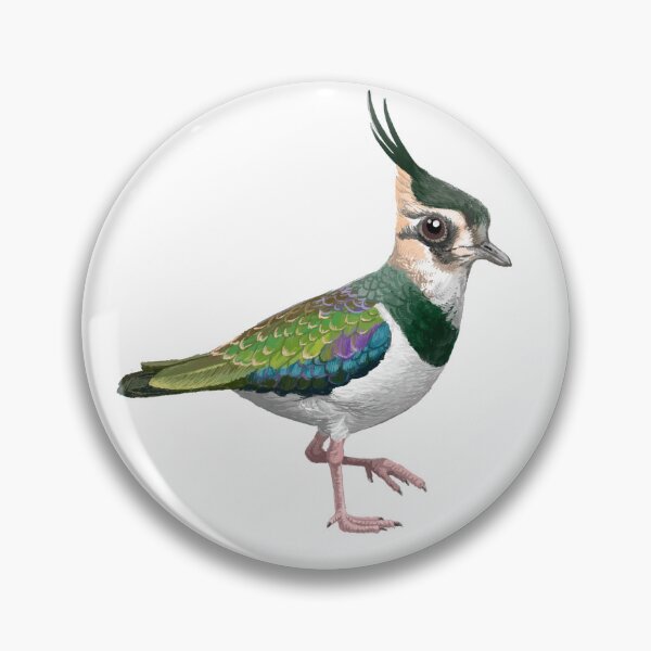 Item preview, Northern Lapwing designed and sold by LeoXiang.