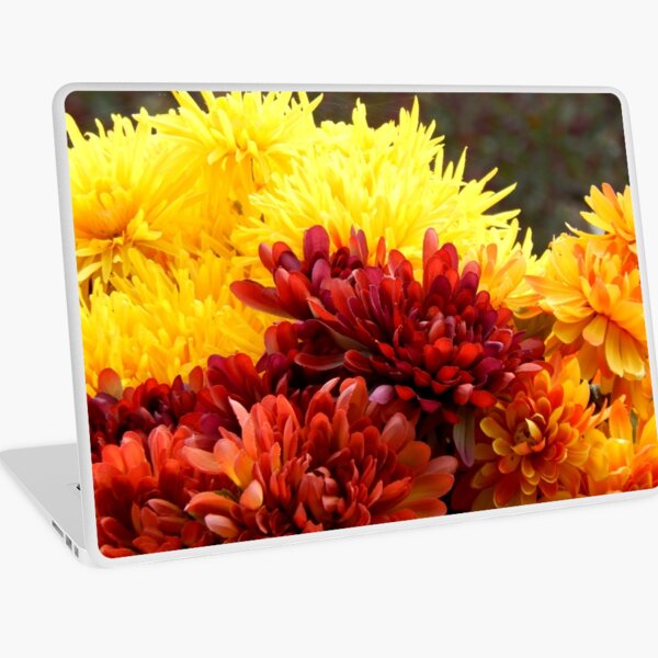 Chrysanthemums Laptop Skin