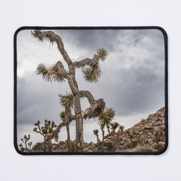 Item preview, Joshua Tree designed and sold by Kevin Schramm.