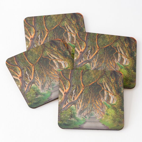 Item preview, The Dark Hedges , Ballymoney, Co Antrim , Northern Ireland designed and sold by Zdrojewski.