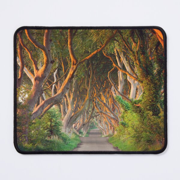 Item preview, The Dark Hedges , Ballymoney, Co Antrim , Northern Ireland designed and sold by Zdrojewski.