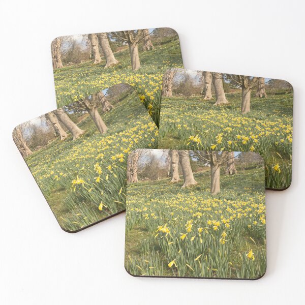 Item preview, Bodnant garden Daffodils designed and sold by Derren Jones.