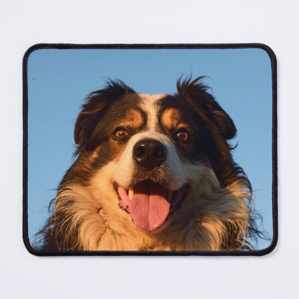 Item preview, Dog Tails. designed and sold by Michael Haslam.