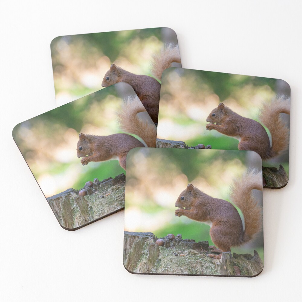 Item preview, Coasters (Set of 4) designed and sold by SetTheScene.