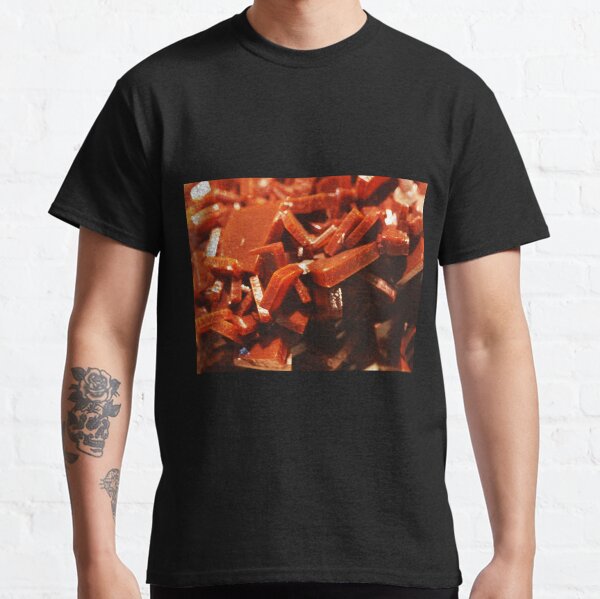 The Hidden Land - Scattered Books Classic T-Shirt