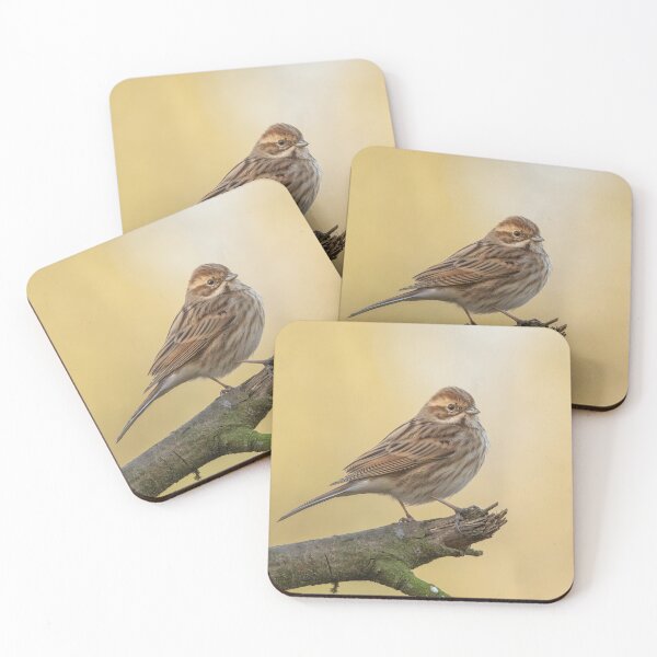 Item preview, Reed bunting perched on a branch designed and sold by JLP ARTWORKS.