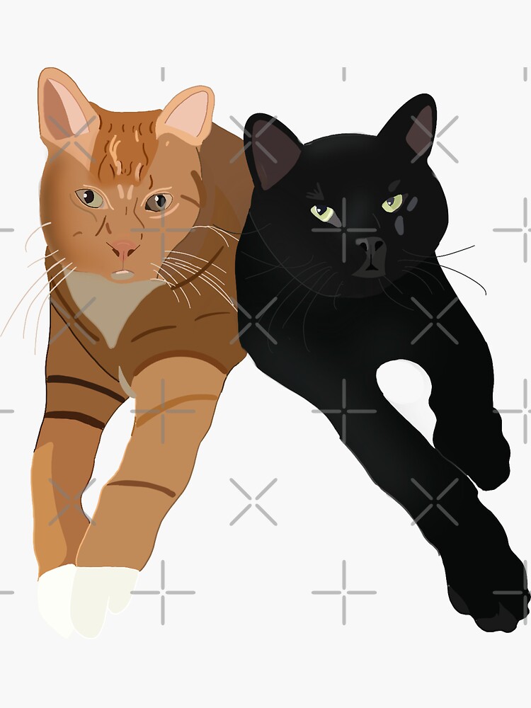 Black and Orange Cat Portrait