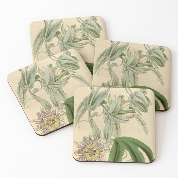 Item preview, Curtis's botanical magazine (Plate 3773) (9128871796) designed and sold by EsotericBotanic.