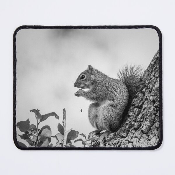 Item preview, Squirrel Dropped A Bite by Debra Martz designed and sold by Debra Martz.