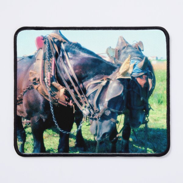 Item preview, r685/  " A moment of consolation, hugs and fraternity for these legendary workhorses, thanks to them 1980 "  photo Okaio Créations - Olavia-Olao  designed and sold by o.okaïo.