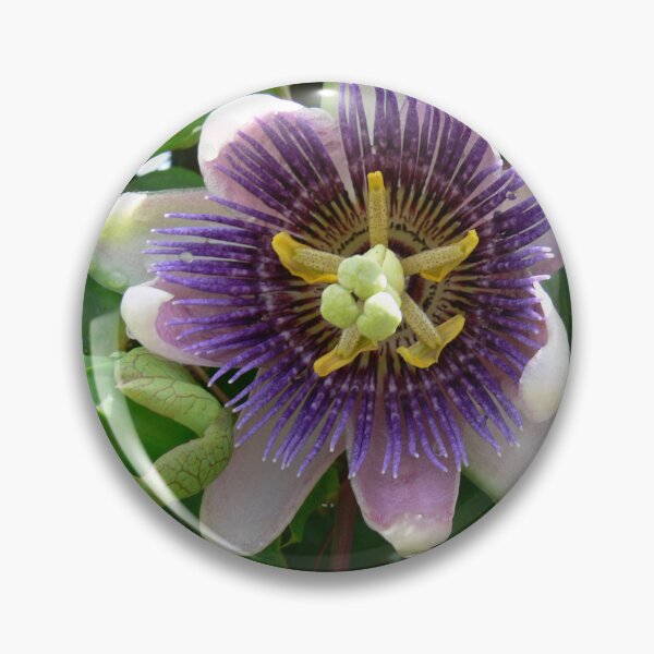 Item preview, Purple Flower designed and sold by Monika's Shop.