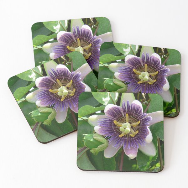 Item preview, Purple Flower designed and sold by Monika's Shop.