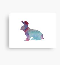 Hase Leinwanddruck