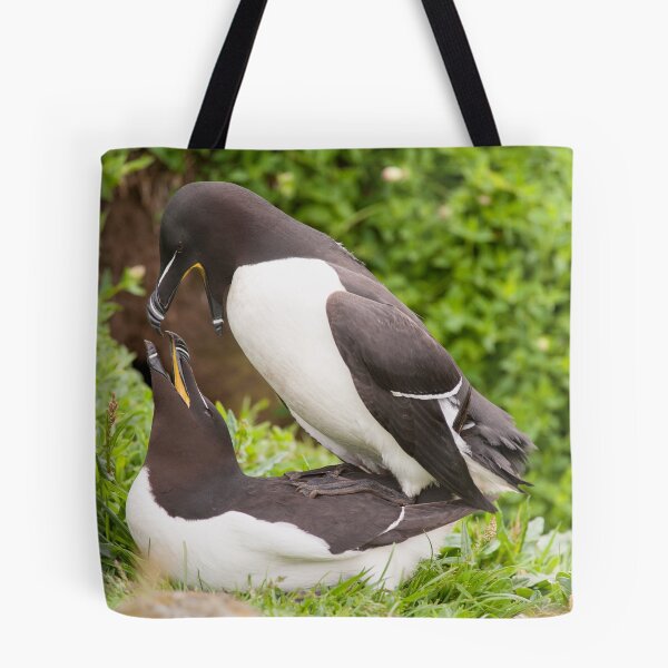 Item preview, Mr & Mrs Razorbill sharing a private moment designed and sold by ccullen222.