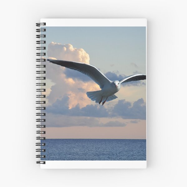 Item preview, gull in flight designed and sold by suzydoodle.