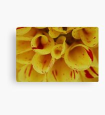 Yellow Macro Canvas Print