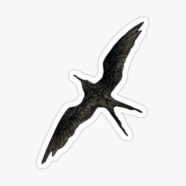 Magnificent frigatebird Sticker