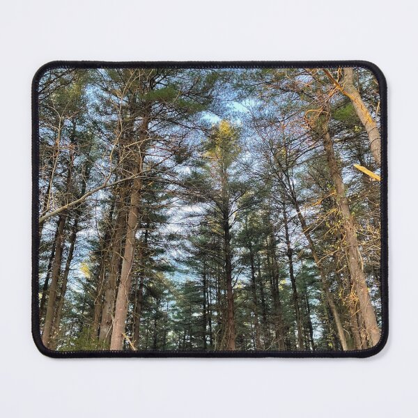Item preview, Tall Trees designed and sold by mowissawynnie.