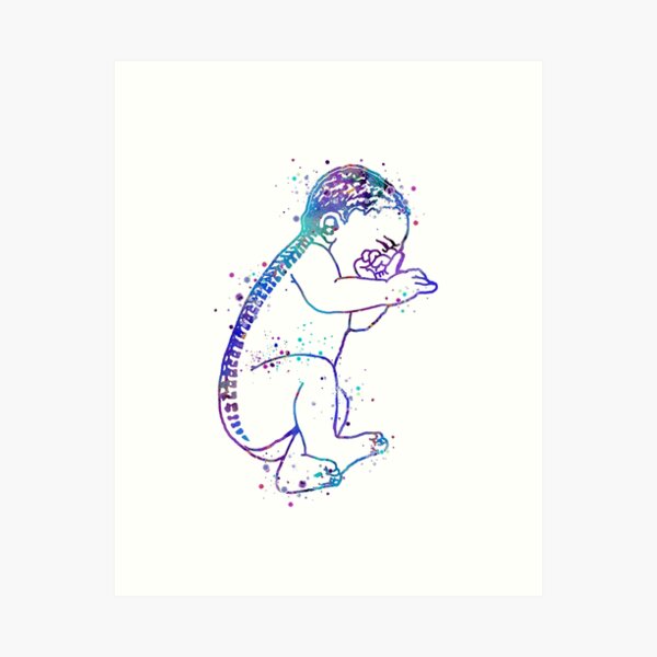 Item preview, Anatomical Baby Watercolor designed and sold by LotusGifts.