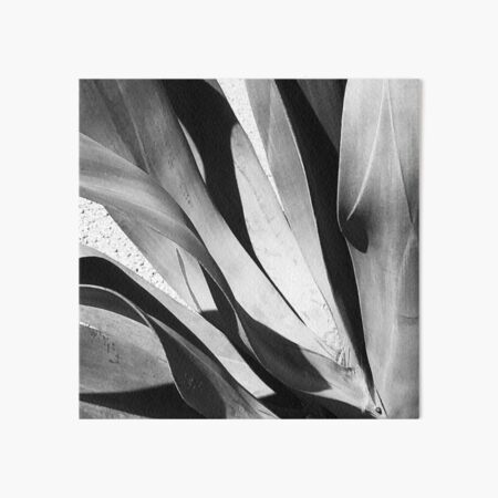 Captivating Black-And-White Succulent Leaves Art Photo Art Board Print