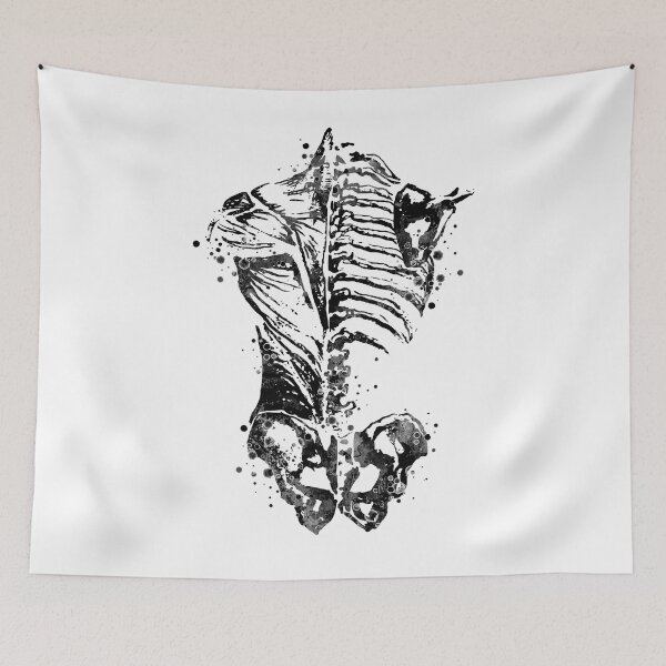 Item preview, Human Back Bones and Muscles Anatomy designed and sold by LotusGifts.