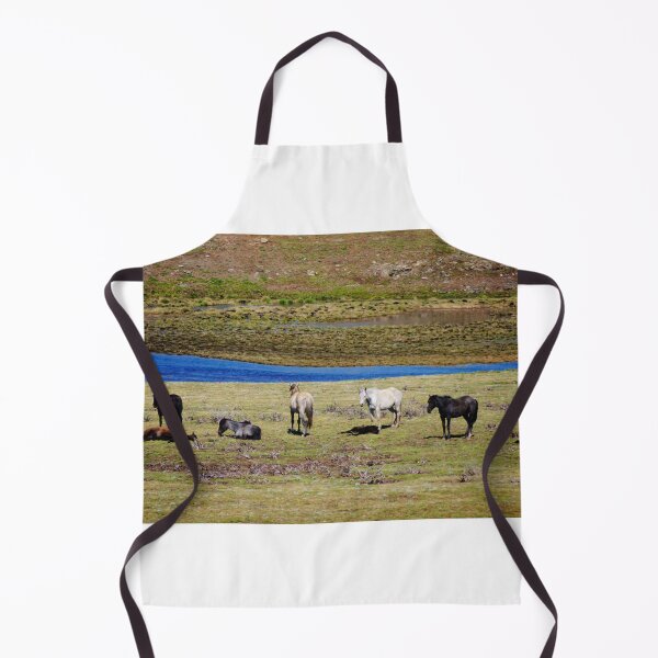 Item preview, Brumbies in the Valley designed and sold by D-GaP.