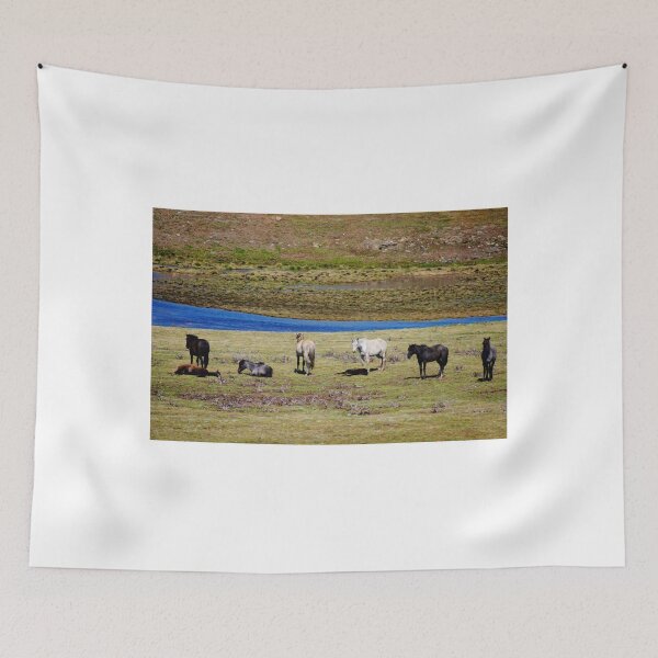 Item preview, Brumbies in the Valley designed and sold by D-GaP.
