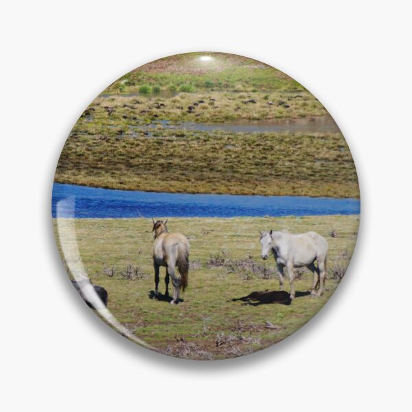 Item preview, Brumbies in the Valley designed and sold by D-GaP.