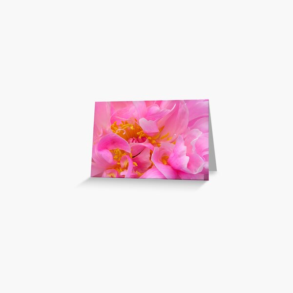 Peony Greeting Card