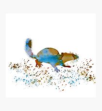 Chipmunk Photographic Print